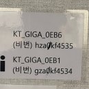 스타불한증막 이미지