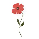 동백삼계탕 이미지