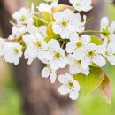 그린농원 이미지