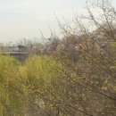 성일통상(주) 이미지