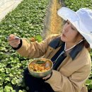 새서울농장(2) 이미지