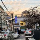 송이만찬 | 울면서 먹은 압구정역 이모카세 후기/아쉬운 점 신상맛집 주차 가격 메뉴 저녁 디너코스 모임 데이트