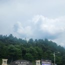 양양 여행 쏠비치 리조트 스위트 객실 조식 놀거리 방문후기