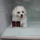 공주동물병원 이미지