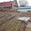 금대지부동산중개사무소 이미지