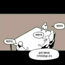 육일장 네이버블로그