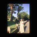 제주모아나펜션 | J💥e🍊j🏝️u