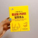 서해농장이야기(영농조합법인서해농장) | 황금빛 커큐민 발효효소 직접 먹어본 곡물발효효소 이야기