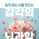 감각