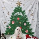 라이크멍 이미지