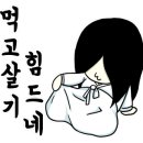 팔당초계국수 네이버블로그