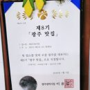 싸움의고수 | [광산구 명화동] 광주 여행에서 꼭 가봐야 하는 필수 코스 애호박 찌개 로컬 맛집 명화 식육식당 방문 후기
