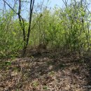 달마축산 이미지