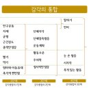 J감각 이미지