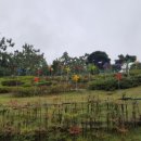 통창공원 이미지