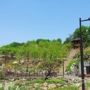 산수세탁소 이미지