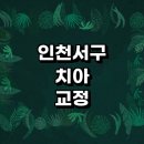 인천 서구 치아교정 잘하는 전문치과 병원 추천 | 비용 후기 설측교정 돌출입 앞니 투명 무턱 부분...