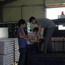 예산농장 이미지