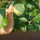 흥이많은농부 이미지