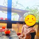 청도어린이도서관 | 딸과 함께 할로윈 대구근교 청도데이트(청도공설운동장, 청도어린이도서관, 청도시장 방문)