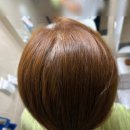 화요일 | 대전 노은역 뿌리염색 35,000원 실화? 이든헤어 화요일 방문 후기