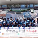 백마초등학교 브레이크뉴스