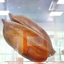 (기별5) 가와지볍씨 - 박물관