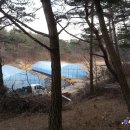 둥지농장2 이미지