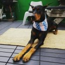 옷만들기(초급) 이미지