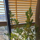 갤러리시흥 이미지