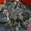 여수돌게장꽃게간장게장 이미지