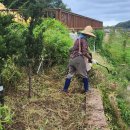 지월열일 이미지