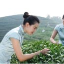 명차무역 이미지