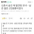 신촌서 숨진 채 발견된 모녀…남은 쌀은 2인분뿐이었다 이미지