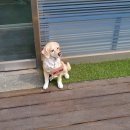 재영동물병원 이미지