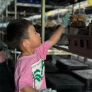 은하농장 이미지