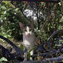 정세영농장 이미지