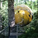 나무호텔 이미지