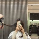 엔플럼 이미지