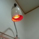 전곡한의원 이미지