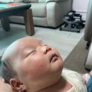 선청 | 후기)익산/군산 참사랑어머니회 산후도우미