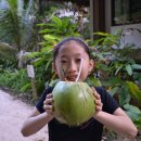 엘니도 리조트 이미지