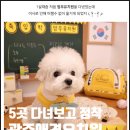 멈무유치원 이미지