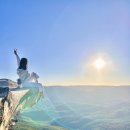 별빛약국 | 호주 시드니여행 블루마운틴 별빛투어┃12월 날씨 준비물 페더데일 동물원 제니 링컨스락 선셋 내돈내산