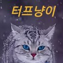 나이아가라식당 - 강서구 | 나이아가라식당