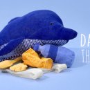 이즈디자인 Daum카페
