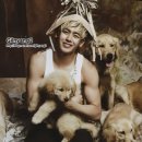 홍 Daum카페