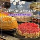 카페23.6 | 하이델베르크 카페 추천｜100년 전통 디저트 & 티, 정원 있는 Cafe Schafheutle 후기