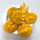 브리지팜 이미지