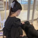 엔터테인멍트 이미지